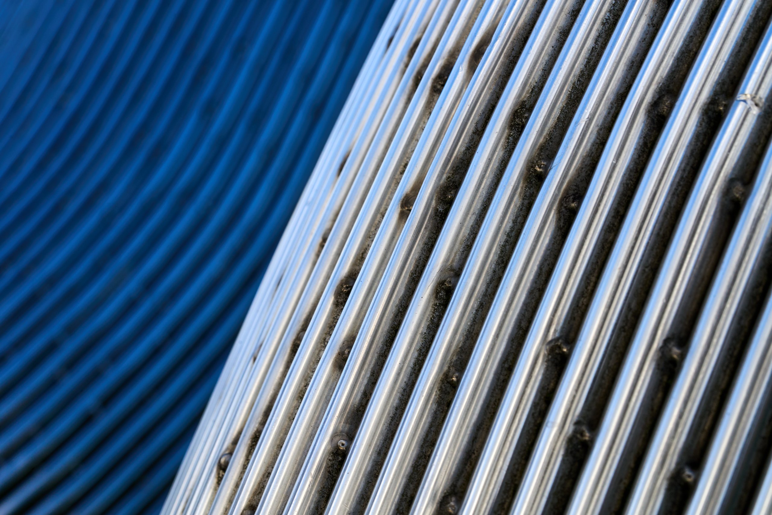 2025 11 02 Gruga 0011